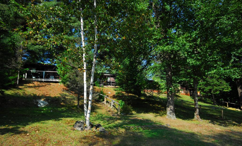The Pines Cottage Resort Oxtongue Lake Bagian luar foto
