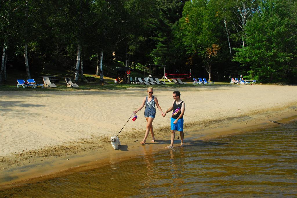 The Pines Cottage Resort Oxtongue Lake Bagian luar foto