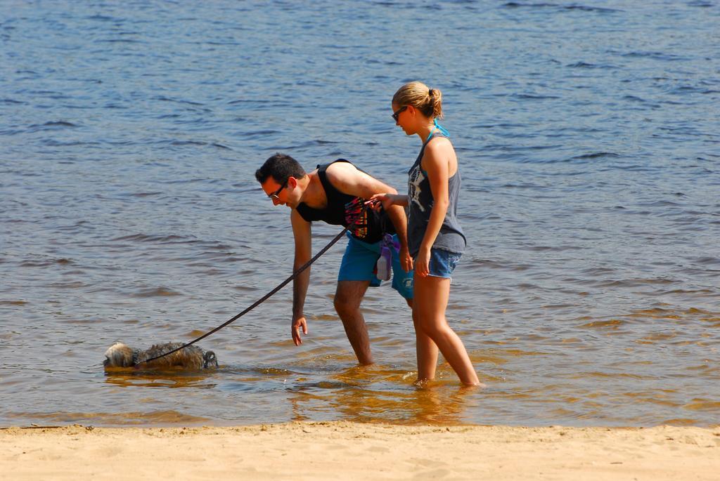 The Pines Cottage Resort Oxtongue Lake Bagian luar foto